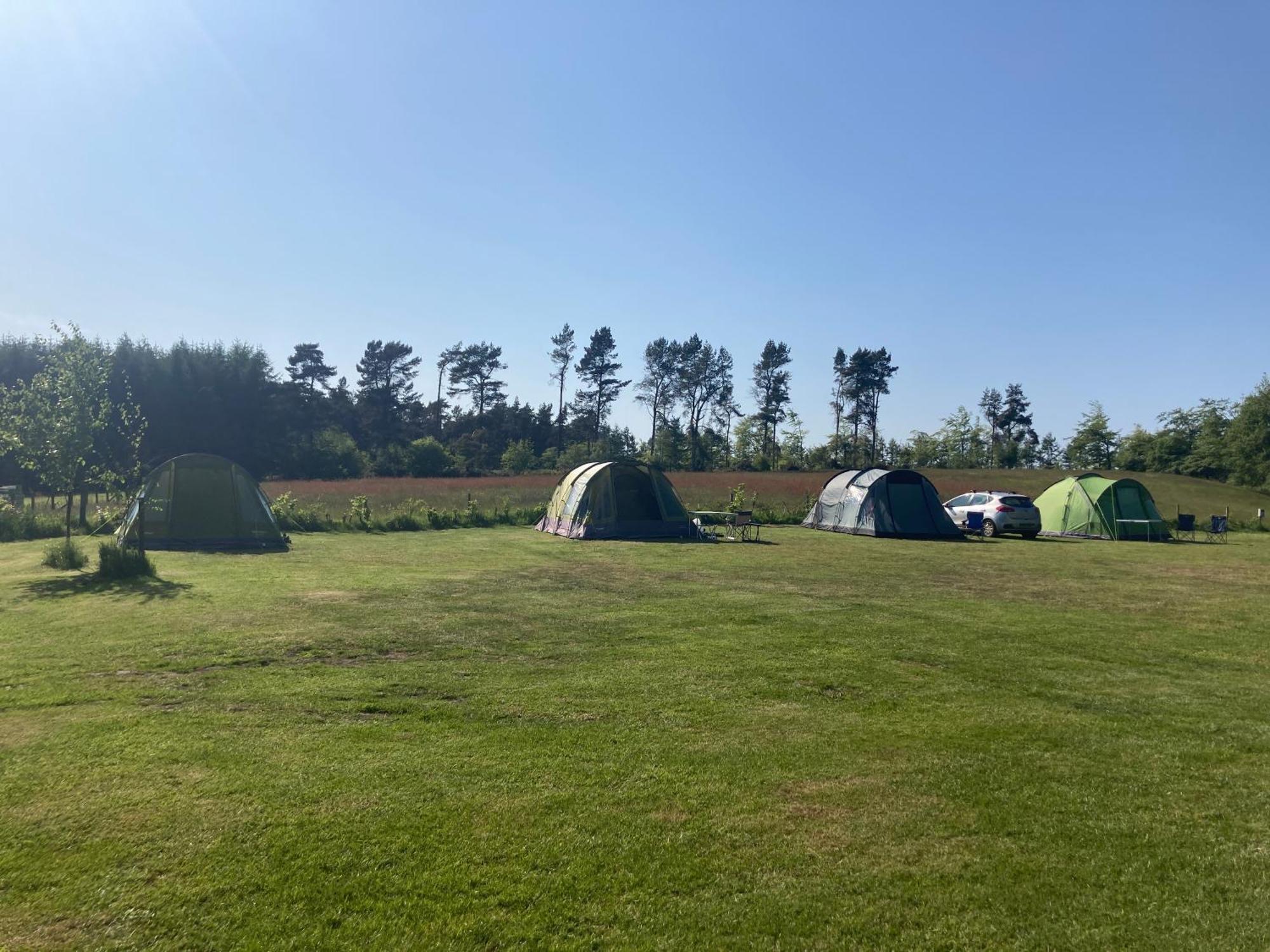 Bank Top Camping-North York Moors With Pitches For Caravans, Camper Vans And Tents Hotel Pickering Exterior photo